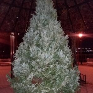 Big Size Artificial Snow Coated Christmas Tree